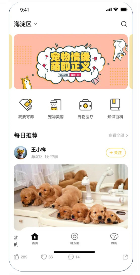 寵物送養(yǎng)領(lǐng)養(yǎng)小程序平臺(tái)怎么開(kāi)發(fā)制作
